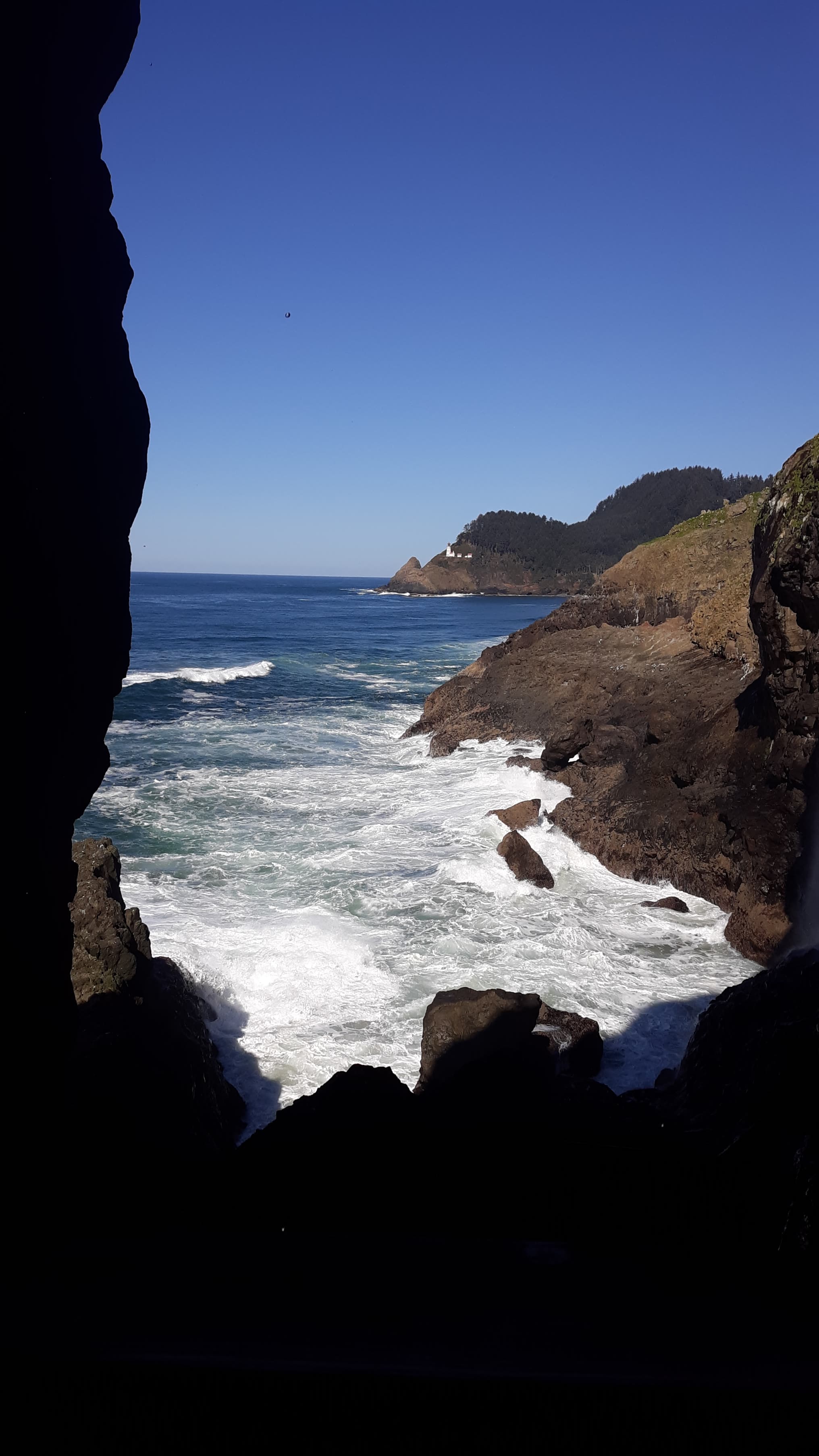 View From Sea Lion Cave